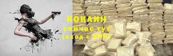 ГАЛЛЮЦИНОГЕННЫЕ ГРИБЫ Арсеньев