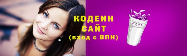 ГАЛЛЮЦИНОГЕННЫЕ ГРИБЫ Арсеньев