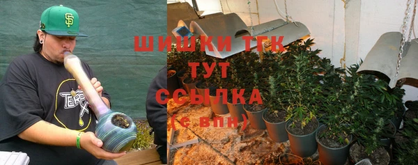 ГАЛЛЮЦИНОГЕННЫЕ ГРИБЫ Арсеньев