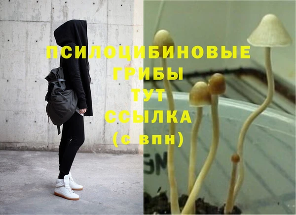 ГАЛЛЮЦИНОГЕННЫЕ ГРИБЫ Арсеньев
